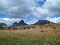 Savane ouverte, guarico.