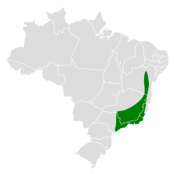 Distribución geográfica de la tangara ventriazul.