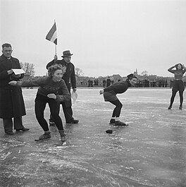 Nienhuis (rjochts, 1950)