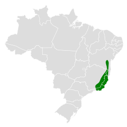 Distribución geográfica del ticotico cejipálido.