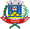 Official seal of Muriaé