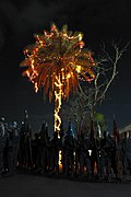 Colorado Guardsmen stand in festive palm tree lighting ceremony in Iraq.jpg