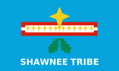 Flago de la Ŝonia Tribo
