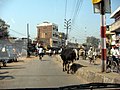 GT Road within Mughalsarai, Uttar Pradesh city limits.