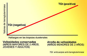 Gráfico relación TGt-vellosidades.jpg