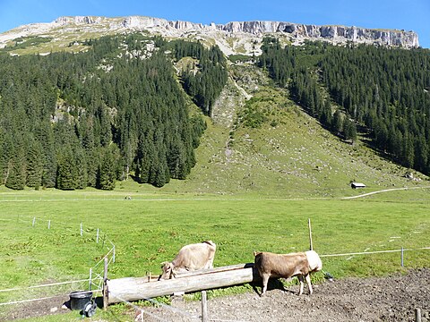 Alpe Melköde im Schwarzwassertal,