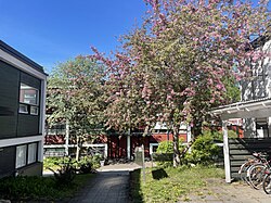 The Kortepohja residential area, showcasing 1960s architecture