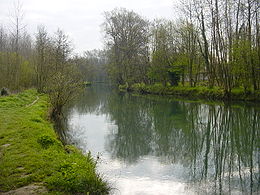 L' Canche à Montreu-su-Mér.