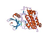 1vjy: Crystal Structure of a Naphthyridine Inhibitor of Human TGF-beta Type I Receptor