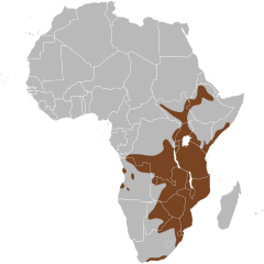 Mapa występowania