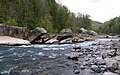 Gauley River