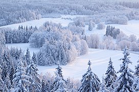 Teritorij Estonije sadrži oko 50% šumskih površina.