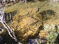 A small rock pond. Heathcote National Park.