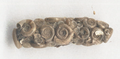 一種沼石蛾（英语：Limnephilus）（Limnephilus flavicornis）以蜗牛壳制成的外壳