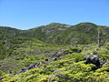 Mt.Kitayokodake from Tsuboniwa in summer