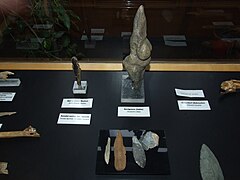 Prehistoric Times of Bohemia, Moravia and Slovakia - NM Prague 69.JPG