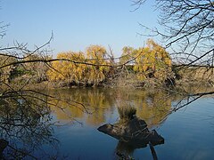 Vala da Azambuja - Portugal (300727403).jpg