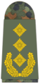 Generalleutnant (გერმანიის არმია)