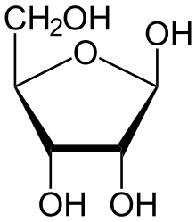 Beta-D-Ribofuranose.svg