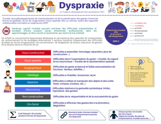 Dyspraxie - TDC Trouble du développement des coordinations - Infographie synthétique.png