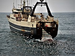 Tråleren «Steintór» av Hvalba.