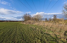 Floodplain in Vach LSG Rednitz-, Pegnitz- und Regnitztalsystem 2023-02-19 28.jpg