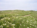 Oberland von Helgoland