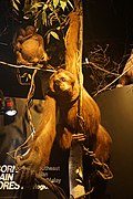 Milwaukee Public Museum January 2023 37 (Asia--Orangutan).jpg
