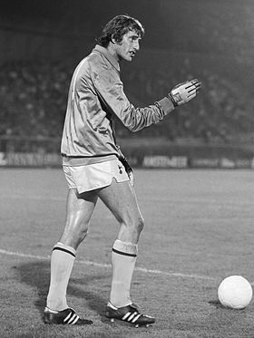 Image illustrative de l’article Ray Clemence