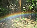 Artificial / Self made Rainbow made in home garden. Islamabad.