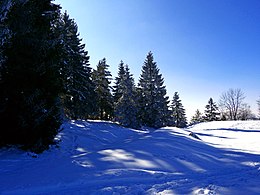 Winter auf dem Klippeneck (980 m) am Westrand des Heubergs