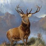 The Monarch of the Glen, 1851.