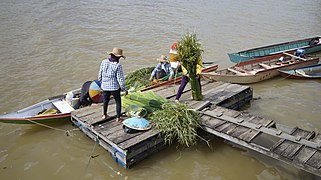 Women from Sabanar Baru, moving Lebping (a kind of Cyperus grass) from the boat.jpg