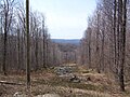 Looking westward (downhill) from Rich Mountain summit