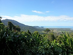 Národní park Daintree