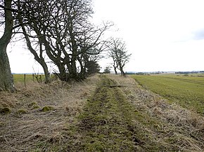 Devil's Causeway heading for Hart Burn ford - geograph.org.uk - 1753411.jpg