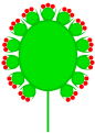 複頭狀花序