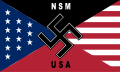 La bandiera del Movimento Nazionale Socialista