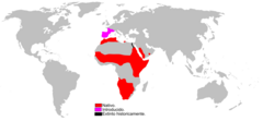 Mapa de distribución de Genetta genetta. Rojo: Autóctona. Rosa: Introducida. Negro: Introducida y extinta.[1]​