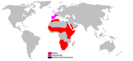 Mapa de distribución de Genetta genetta. Coloráu: Autóctona. Rosa: Introducida. Negru: Introducida y estinguida.[1]