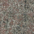 Polished Migmatit, not a real granite Gran Violet