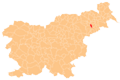 Hajdina municipality