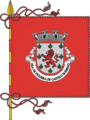 Estandarte da vila de Figueira de Castelo Rodrigo (liso)