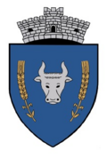 Wappen von Ludoș