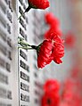 Artificial red poppies