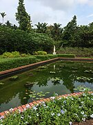 Singapore Botanic Gardens.jpg