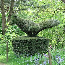 Une haie taillée en forme d'oiseau.