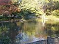 秋の日本庭園（2007年11月23日撮影）