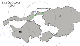 Bering Land Bridge in Late Cretaceous.png