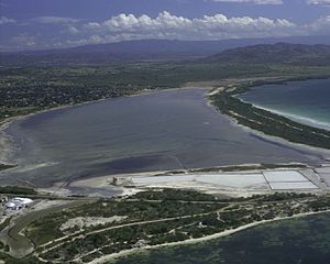 Aerial view of the salt flats and lagoon
